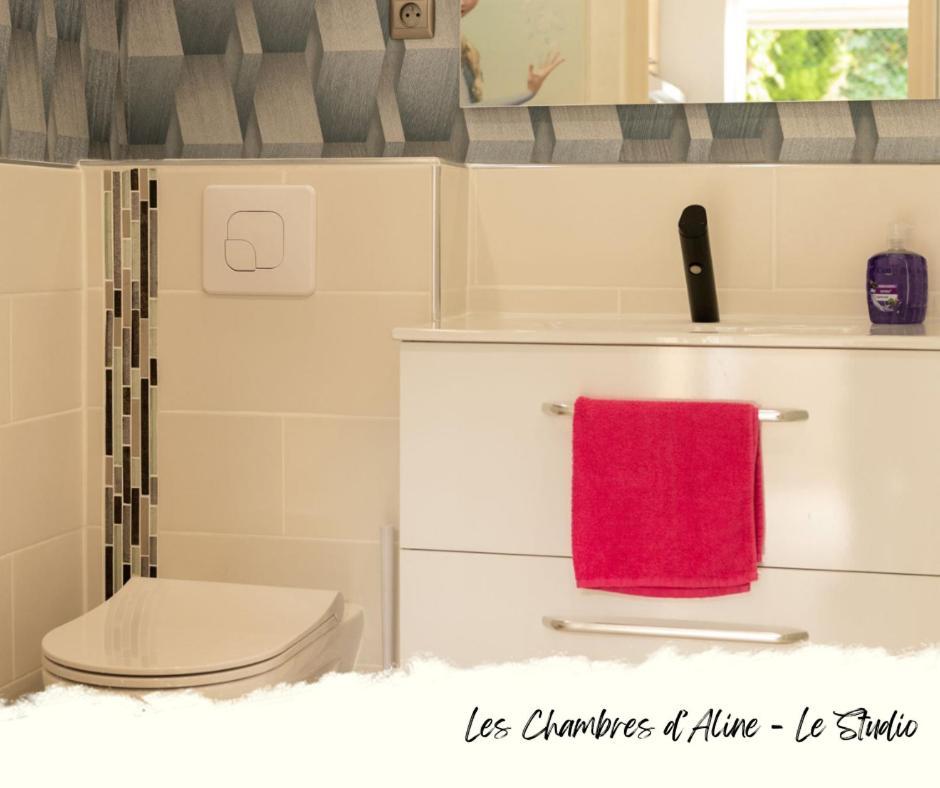 Les Chambres D'Aline Conches Стая снимка